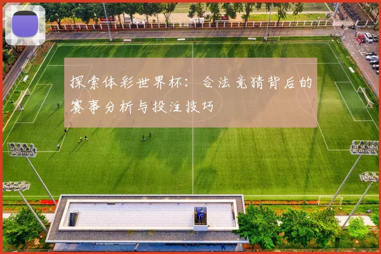 探索体彩世界杯：合法竞猜背后的赛事分析与投注技巧