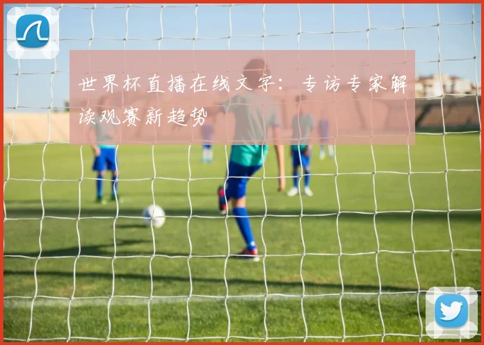 世界杯直播在线文字：专访专家解读观赛新趋势