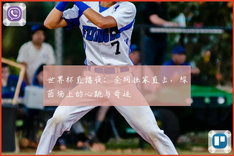世界杯直播夜：全网独家直击，绿茵场上的心跳与奇迹