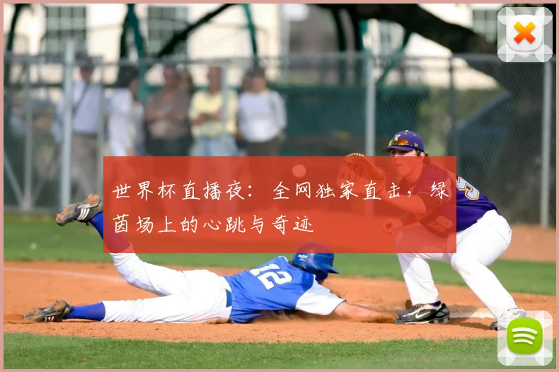 世界杯直播夜：全网独家直击，绿茵场上的心跳与奇迹