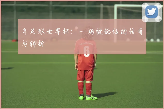 年足球世界杯：一场被低估的传奇与转折