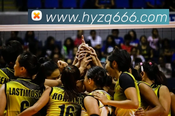 金年汇网页版登录入口品牌故事