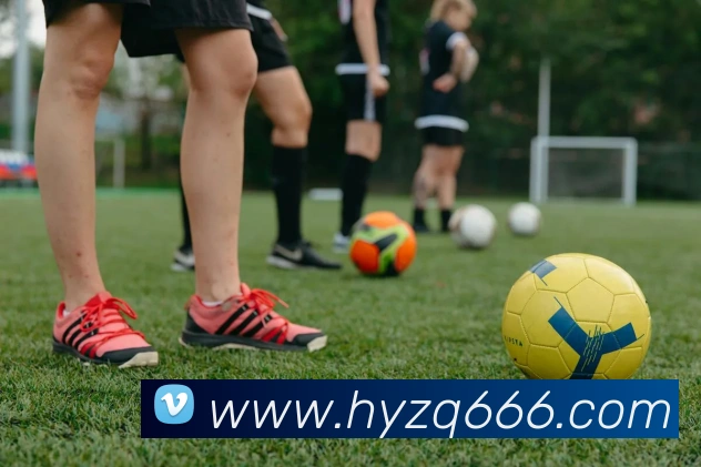 金年汇网页版登录入口服务体系